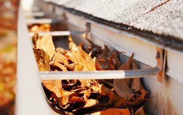 Bewley Common gutter cleaning companies