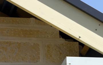 soffit repair Bewley Common