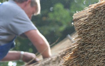 professional Bewley Common thatchers